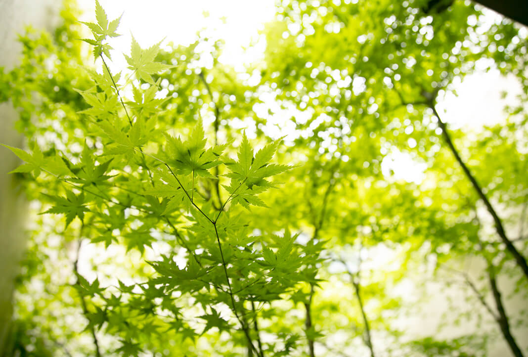 医療法人聖恵会 福岡聖恵病院